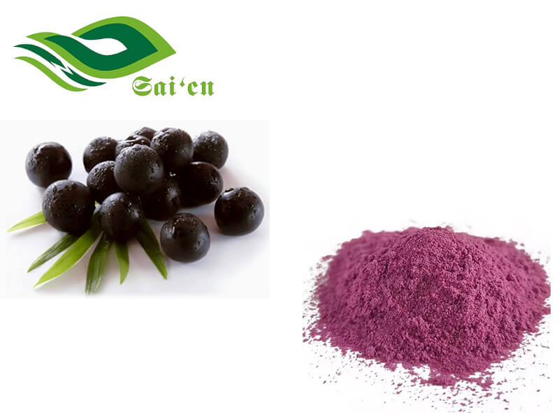 Acai Berry Powder