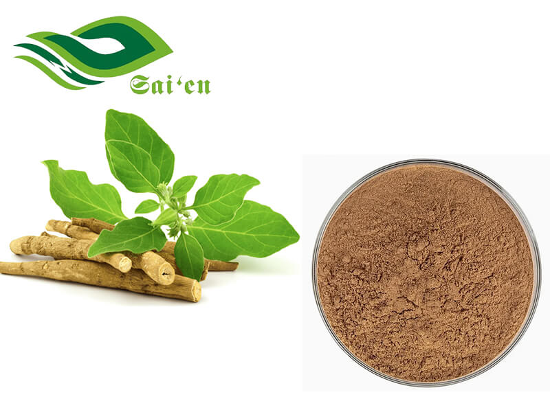 Ashwagandha Extract powder