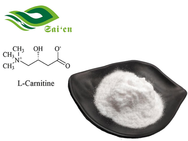 L Carnitine Powder