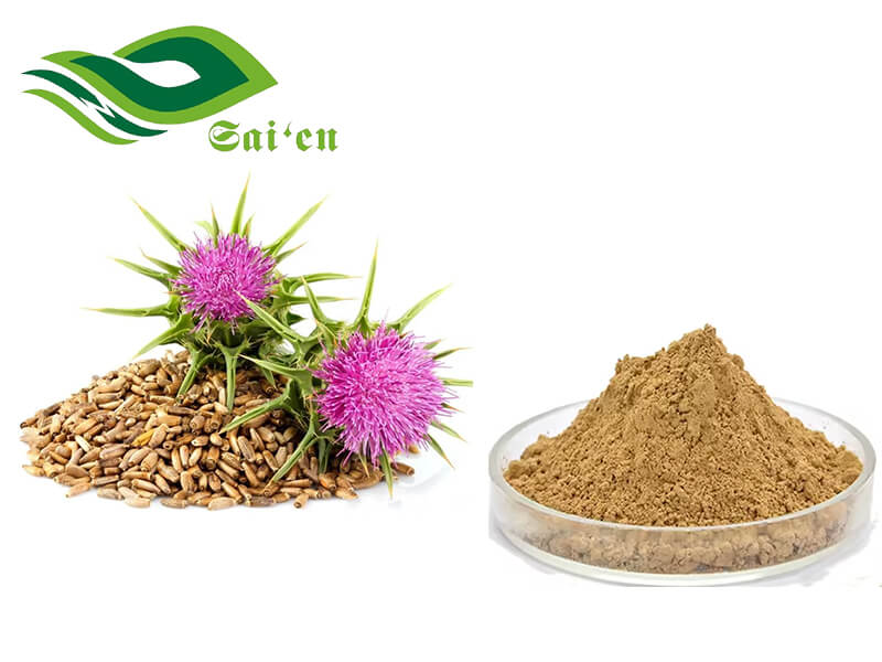 Milk Thistle Extract Powder