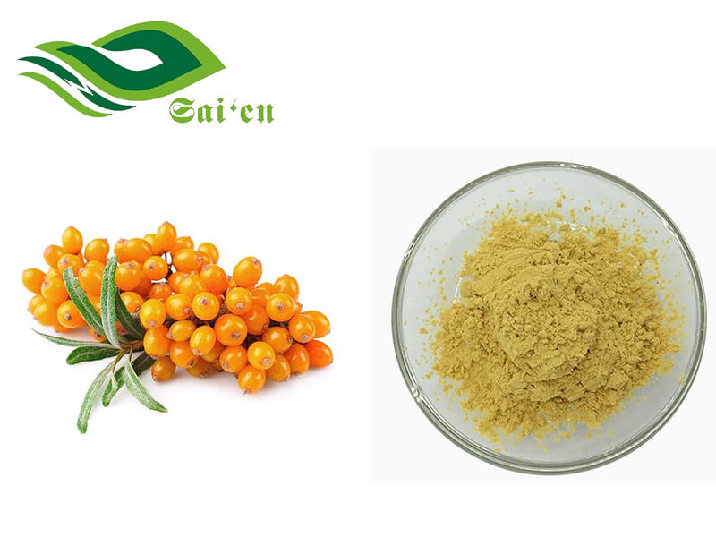 Sea Buckthorn Extract Powder