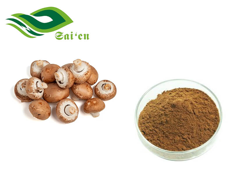 Shiitake extract powder