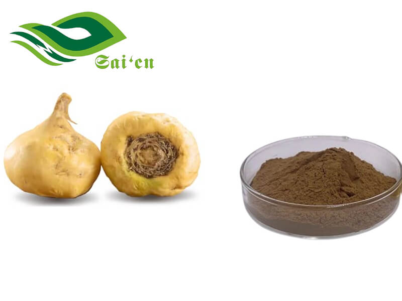 Maca Root Extract