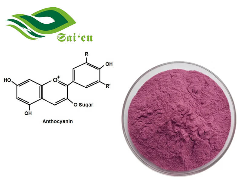 Anthocyanins powder