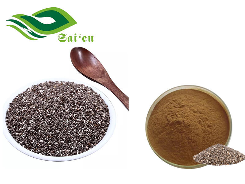 Chia Seed Extract