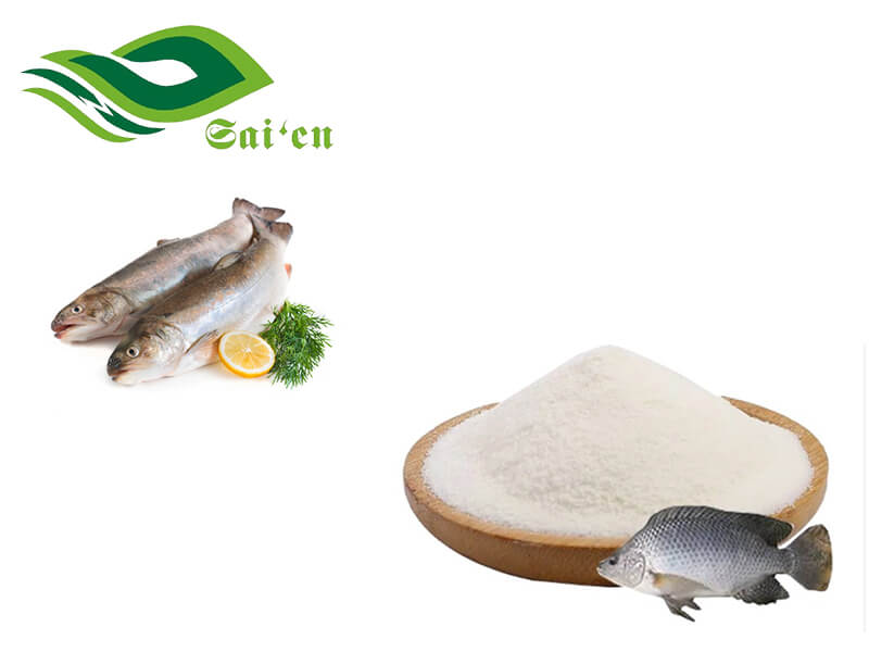 Fish collagen peptides