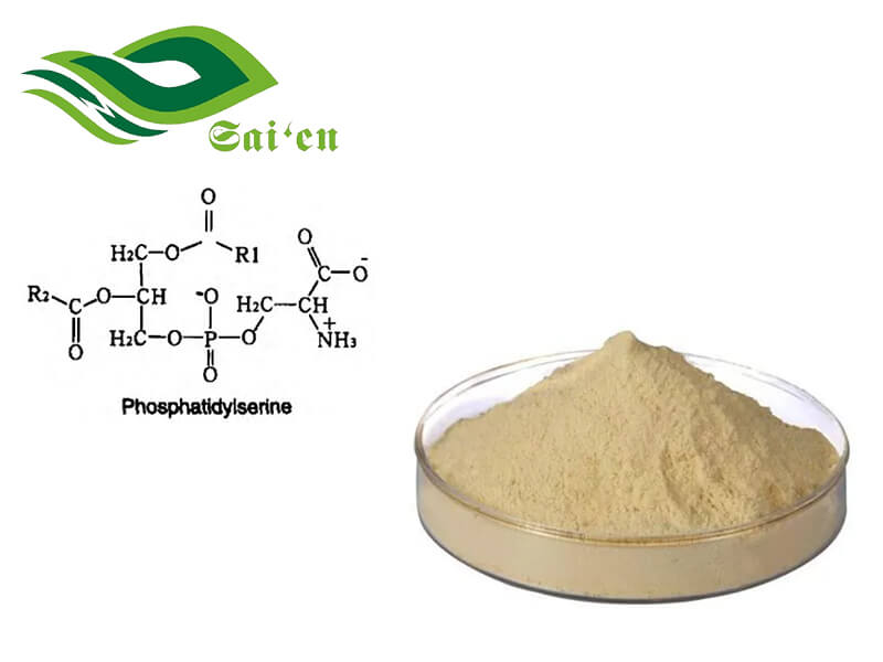 Phosphatidylserine powder