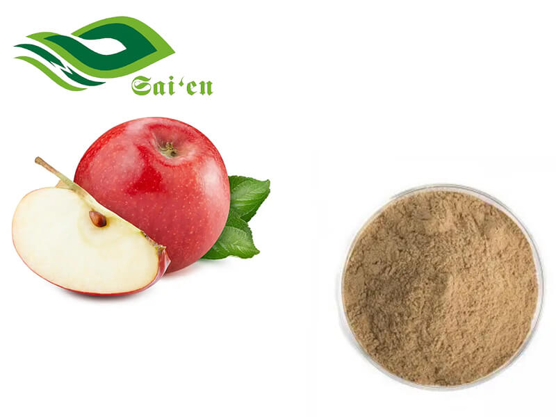 Apple Polyphenols