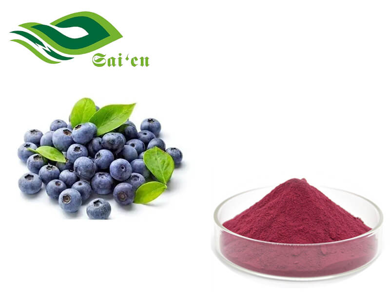 Blueberry Extract powder