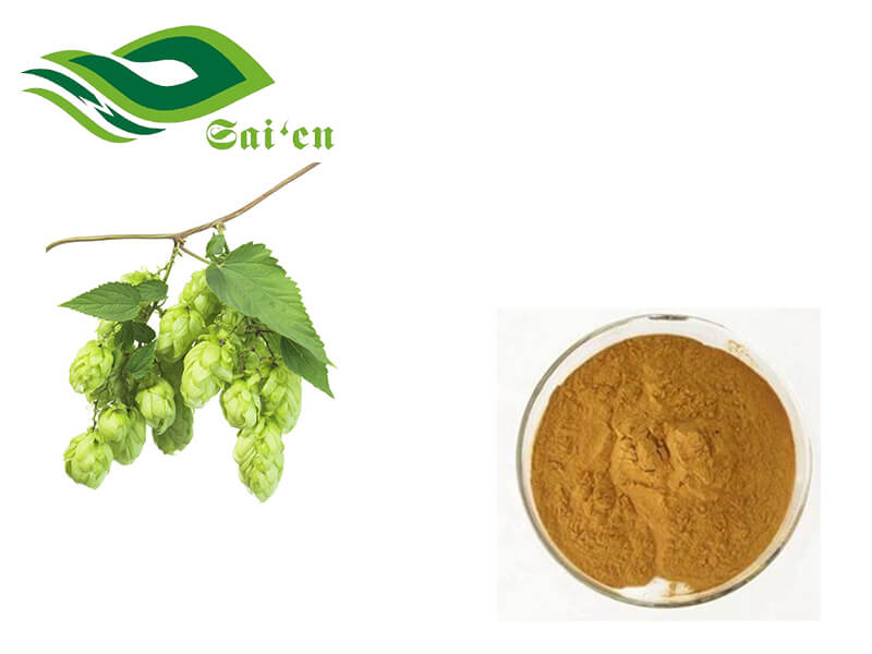 Hops Flower Extract