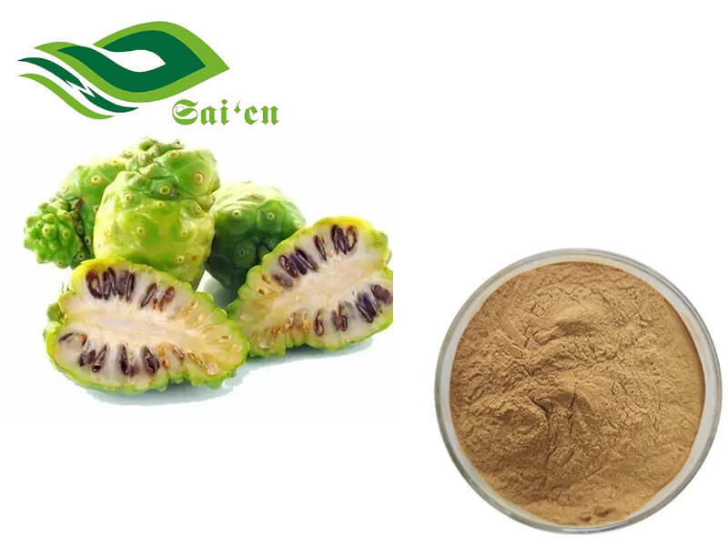 Noni Fruit Powder