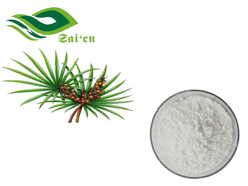 Saw Palmetto Extract